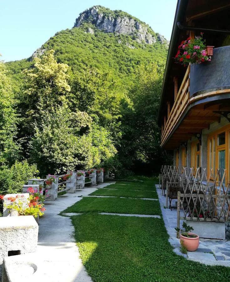 Agriturismo La Selvaggia Мандельо дел Ларио Екстериор снимка